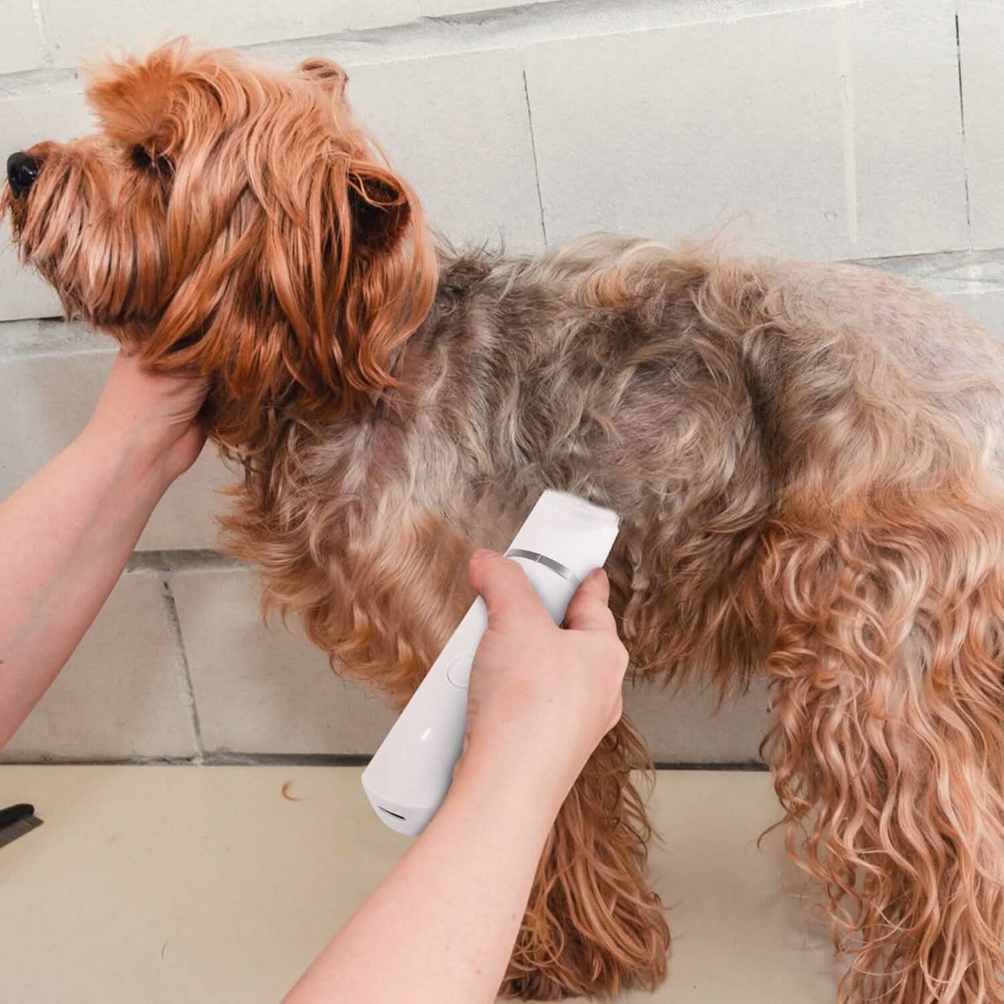 4-in-1 Electric Pet Dog Cat Grooming Kit Cordless Rechargeable Pet Supplies - Tophatter Daily Deals