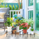 4-Pack: Iron Plotted Plant Stands Garden & Patio - Tophatter Daily Deals