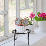 4-Pack: Iron Plotted Plant Stands Garden & Patio - Tophatter Daily Deals