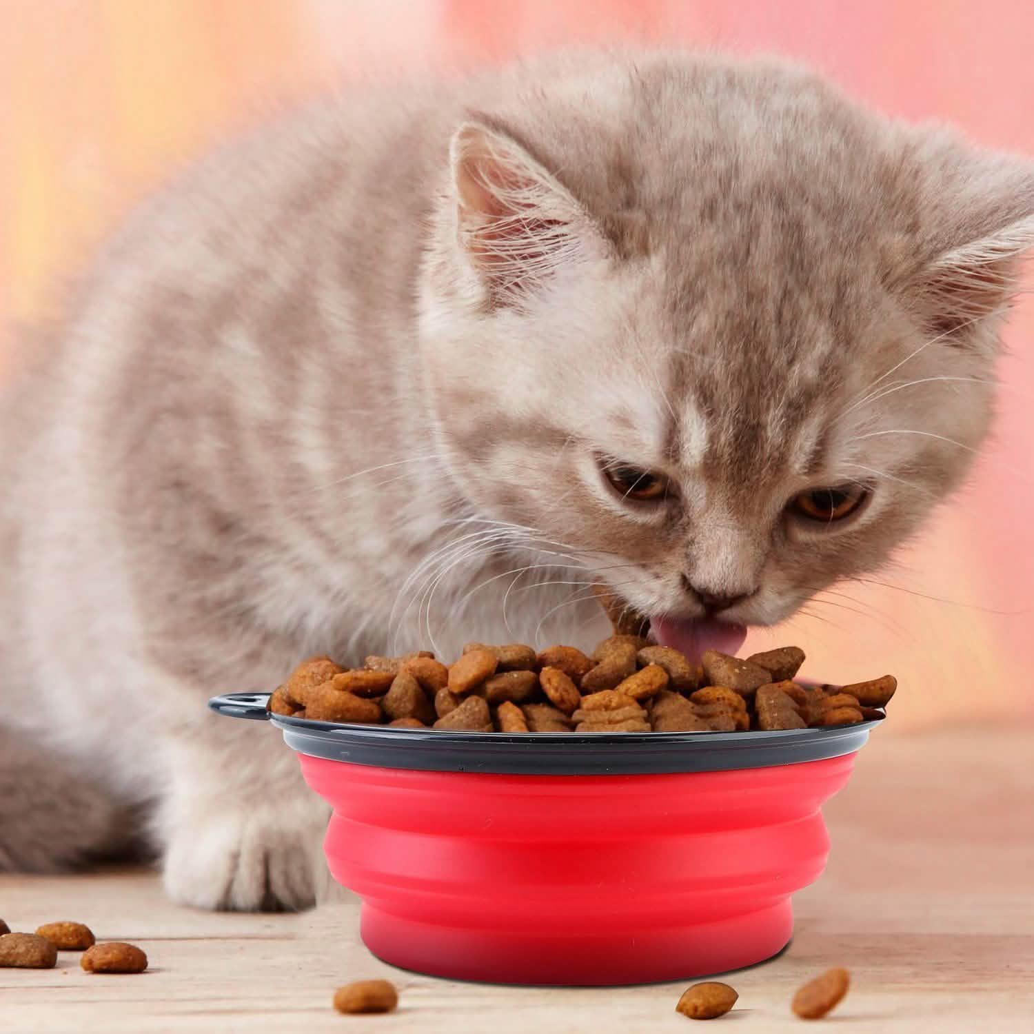 4-Pack: Silicone Collapsible Dog or Cat Food Water Bowl Pet Supplies - Tophatter Daily Deals