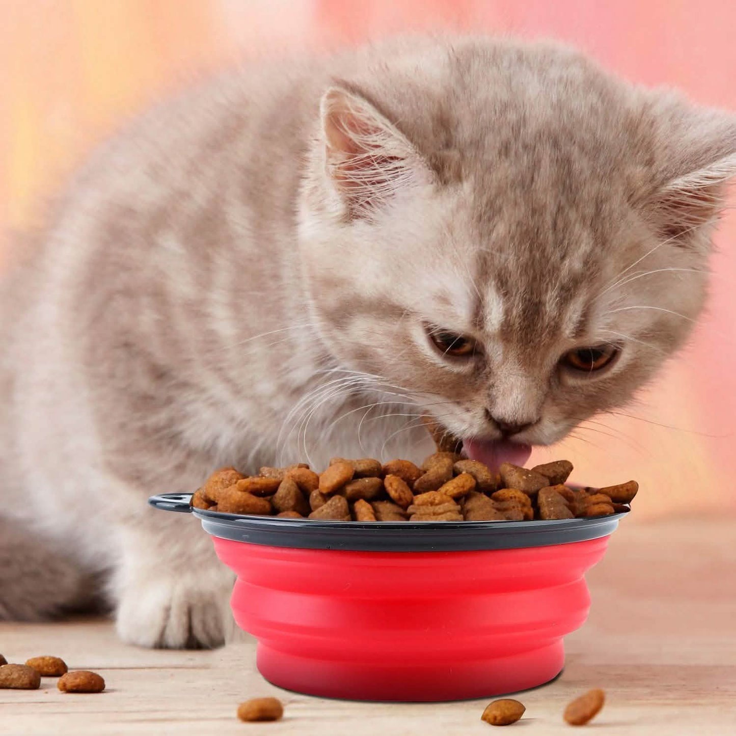 4-Pack: Silicone Collapsible Dog or Cat Food Water Bowl Pet Supplies - Tophatter Daily Deals