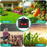 4-Piece: Solar Predator Control Light Pest Control - Tophatter Daily Deals