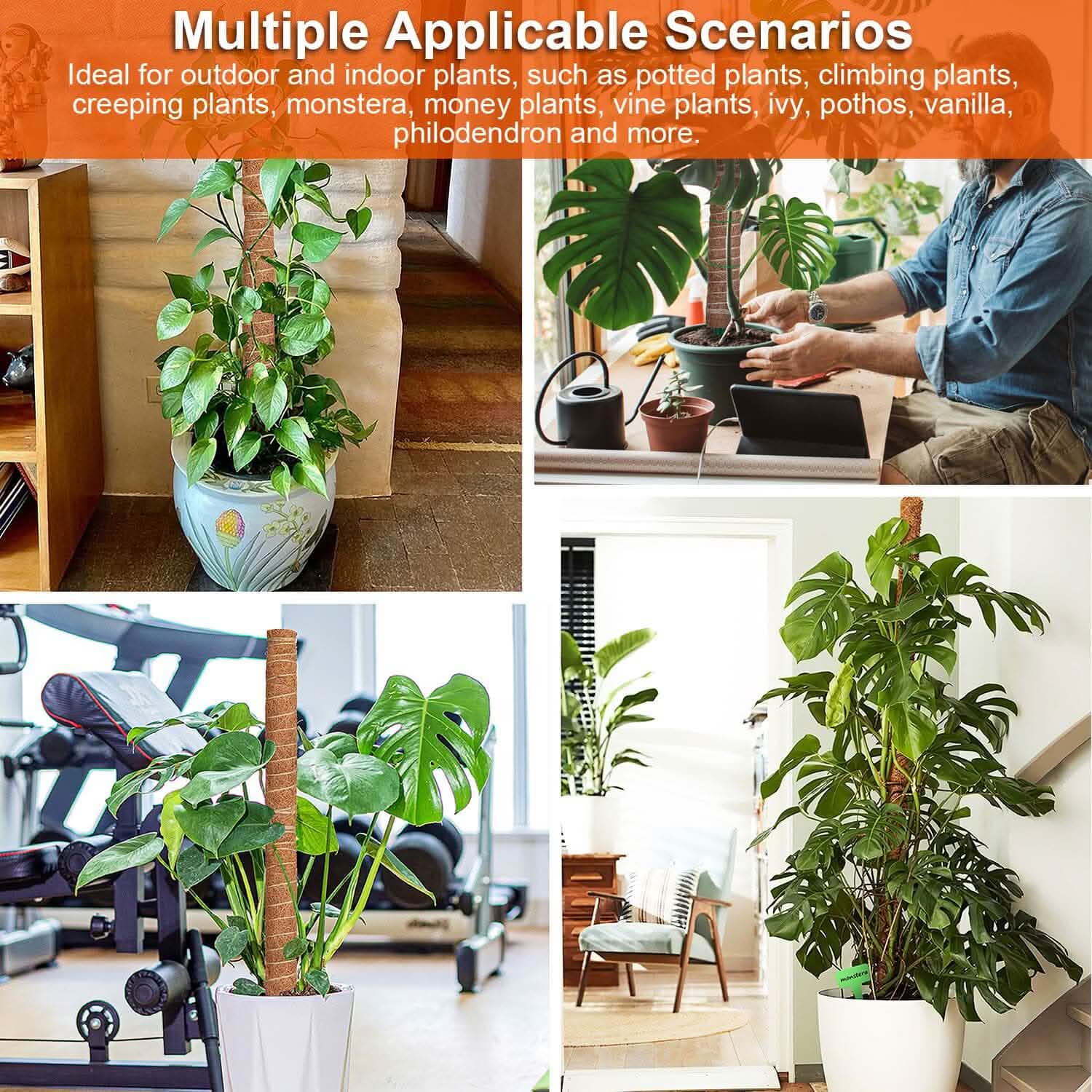 4-Pieces: Coco Coir Extendable Moss Pole for Climbing Plants Garden & Patio - Tophatter Daily Deals