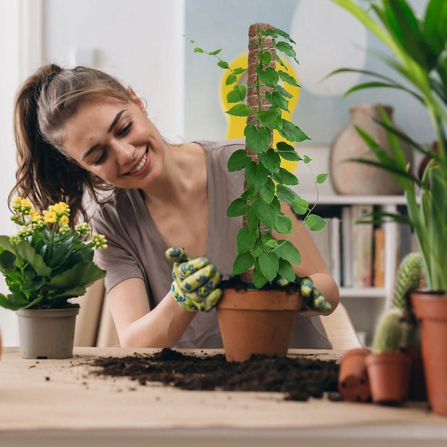 4-Pieces: Coco Coir Extendable Moss Pole for Climbing Plants Garden & Patio - Tophatter Daily Deals