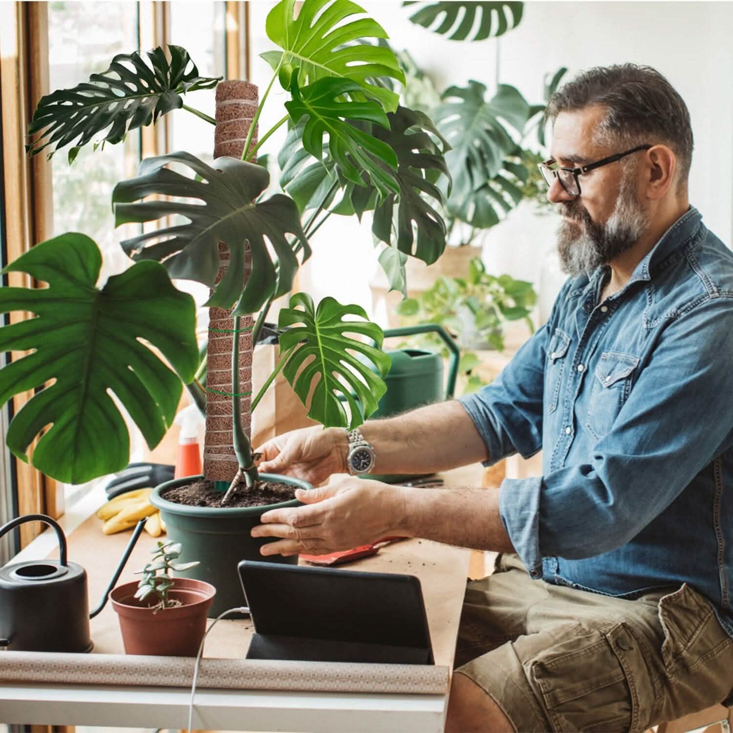 4-Pieces: Coco Coir Extendable Moss Pole for Climbing Plants Garden & Patio - Tophatter Daily Deals