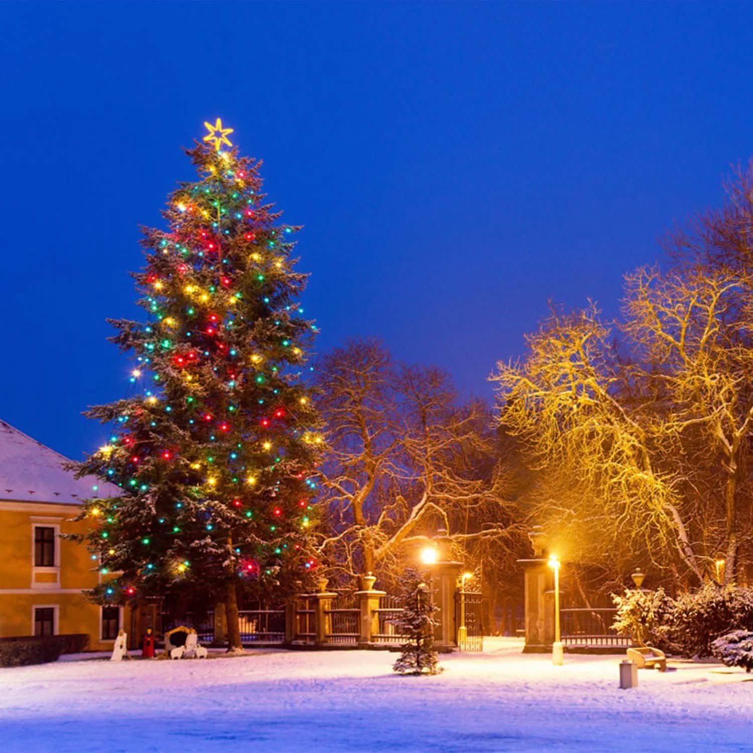 40-LED 13.12FT Star Fairy Lights String & Fairy Lights - Tophatter Daily Deals