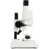 CELESTRON LABS S20 Stereo Microscope - Tophatter Daily Deals