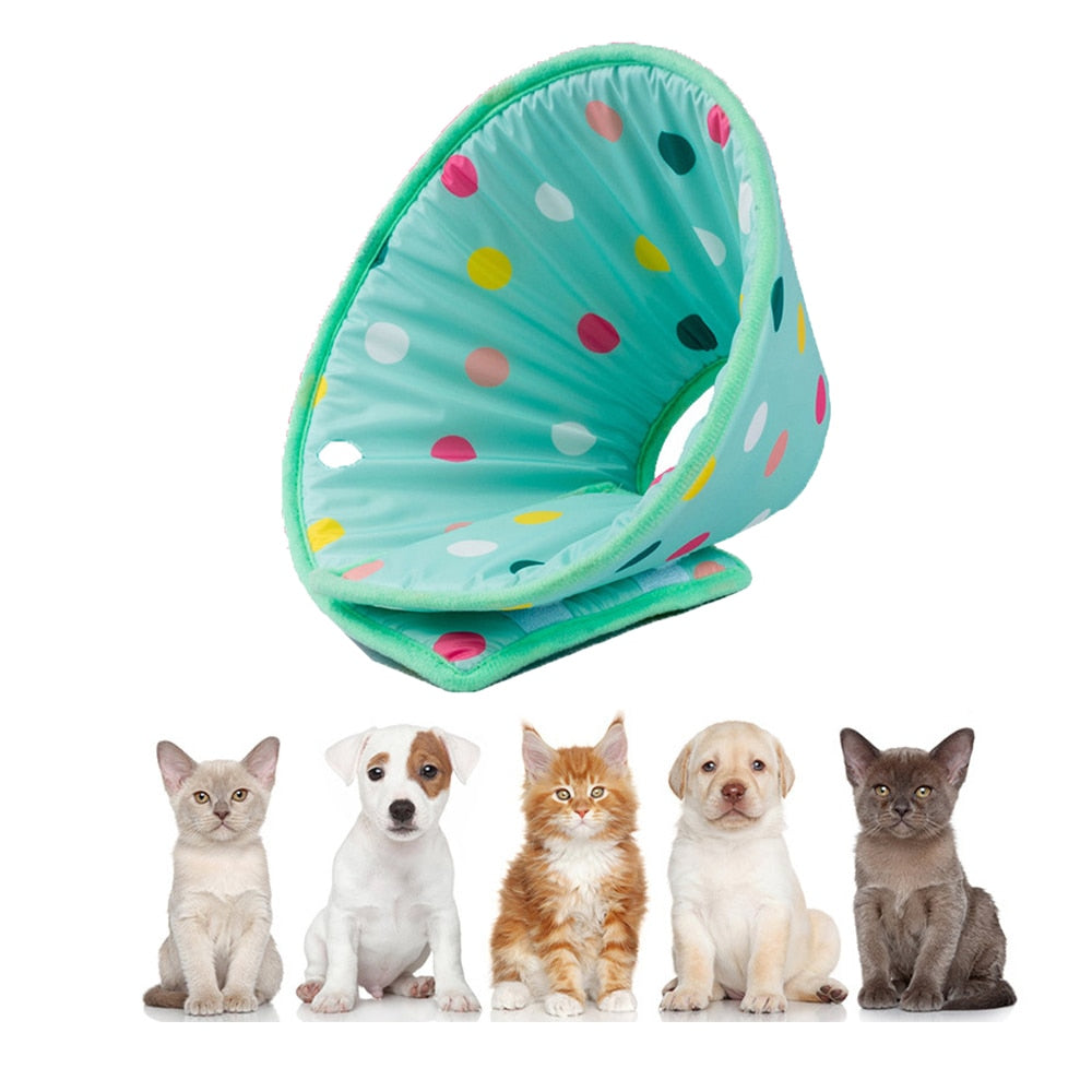 Anti Lick And Scratch Protection Ring For Pet Products 0 - Tophatter Daily Deals