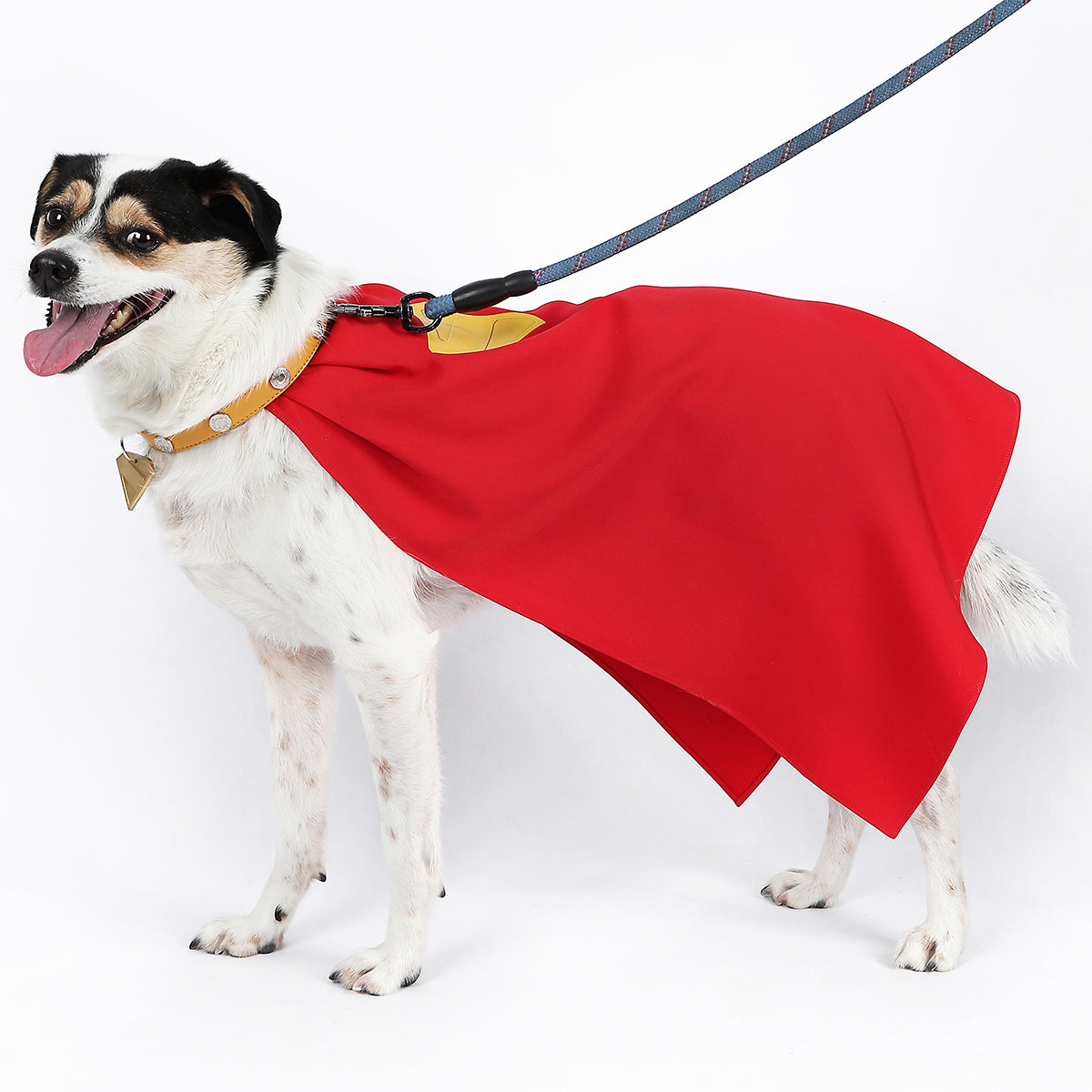 Superman: Legacy Krypto the Superdog Cosplay Accessory Prop Costume - Tophatter Daily Deals