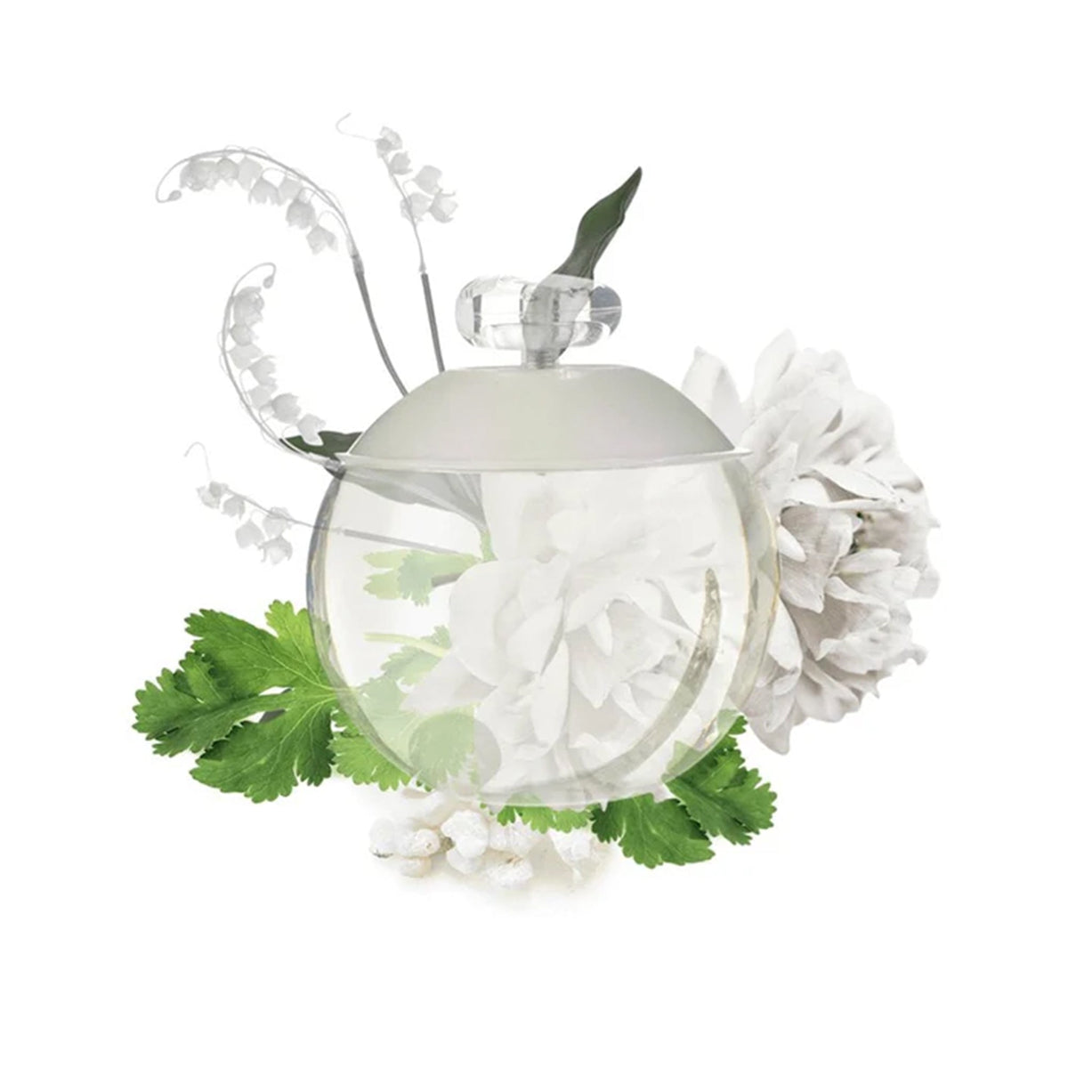 Cacharel Noa Eau De Toilette 100ml Spray - Tophatter Daily Deals