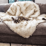 PupProtector™ Waterproof Throw Blanket - White with Brown Accents Pet Supplies - Tophatter Daily Deals