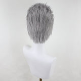 Final Fantasy XVI 16 Cidolfus Telamon Grey Cosplay Wig Wig - Tophatter Daily Deals