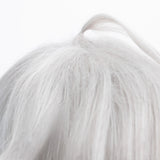 Zenless Zone Zero Random Play Play Wise Silver Cosplay Wig Wig - Tophatter Daily Deals