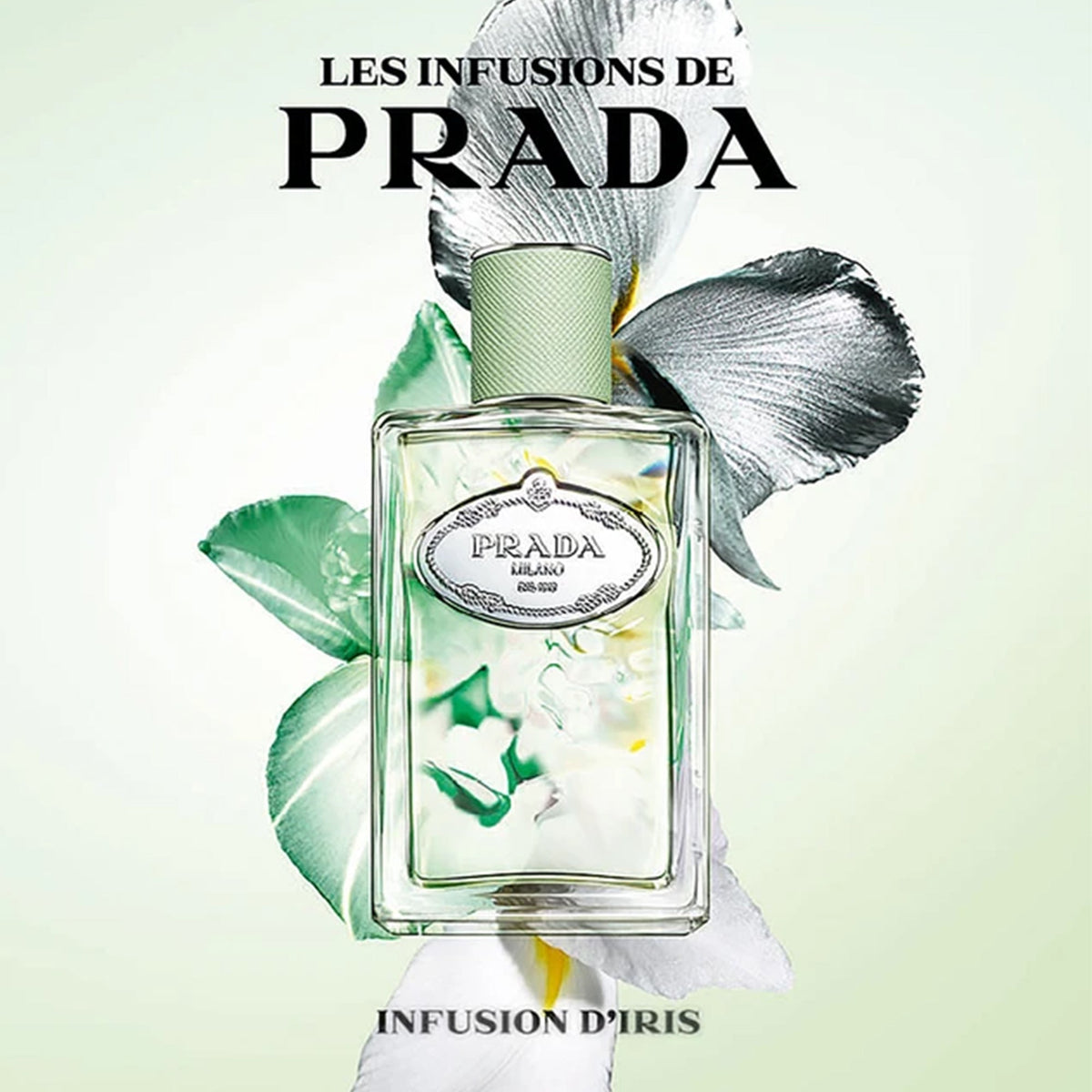Les Infusions De Prada D'Iris Eau De Parfum 100ml Spray - Tophatter Daily Deals