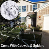 Spider Web Halloween Decoration Set With Large Spider 3D Changing Face Moving Picture Frame - Tophatter Daily Deals