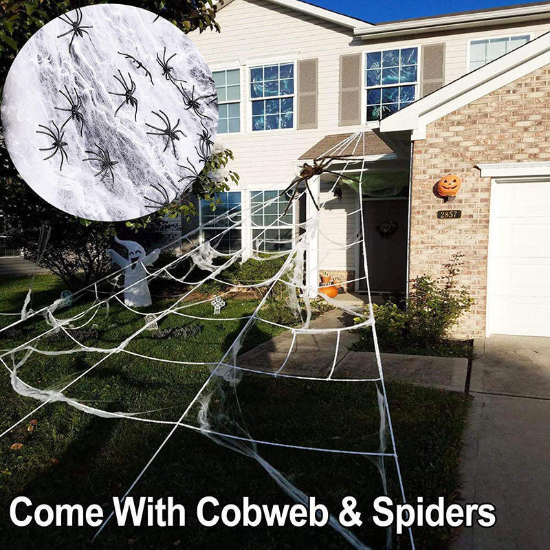 Spider Web Halloween Decoration Set With Large Spider 3D Changing Face Moving Picture Frame - Tophatter Daily Deals