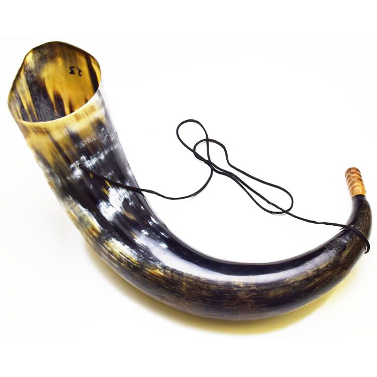 Natural Buffalo Horn Trumpet - Tophatter's Guns'N'Weapons Store Collectible Weapons - Tophatter Daily Deals