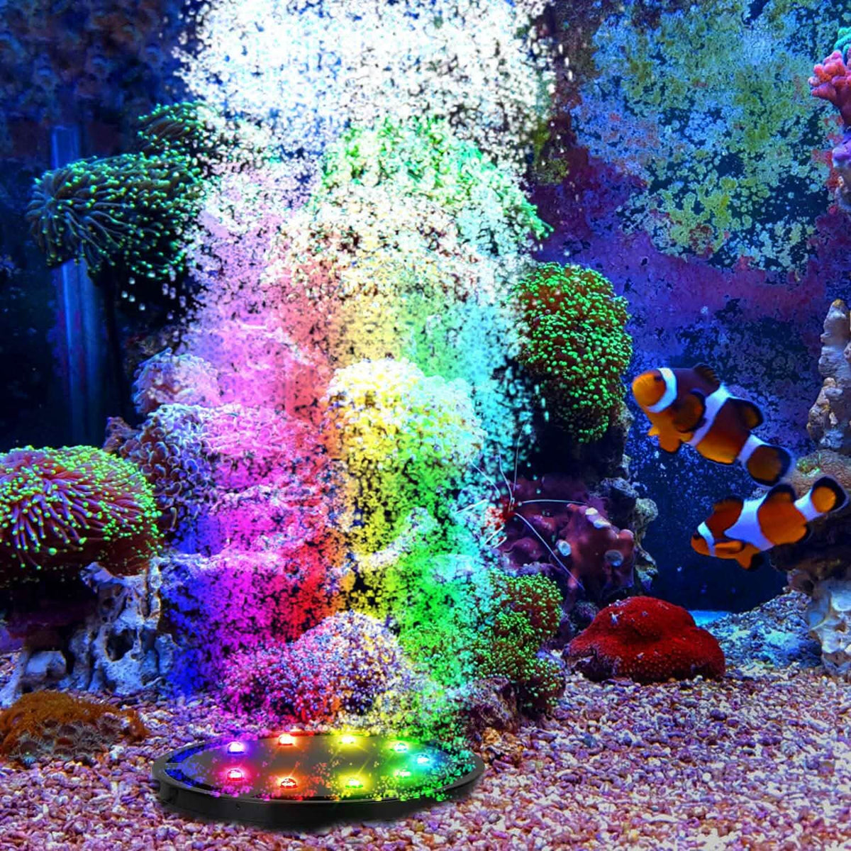 4in Multi-Colored LED Aquarium Air Bubble Lamp Pet Supplies - Tophatter Daily Deals
