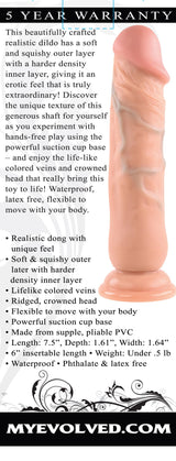 Evolved Realistic Dong – 7 Inch Realistic Dong > Dildos > Realistic Dildos - Tophatter Daily Deals