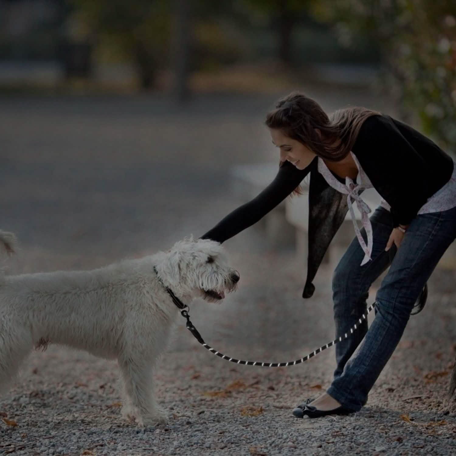 5 Ft. Dog Leash with Foam Handle Pet Supplies - Tophatter Daily Deals