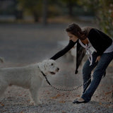 5 Ft. Dog Leash with Foam Handle Pet Supplies - Tophatter Daily Deals