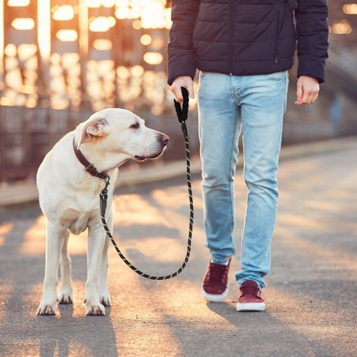5 Ft. Dog Leash with Foam Handle Pet Supplies - Tophatter Daily Deals