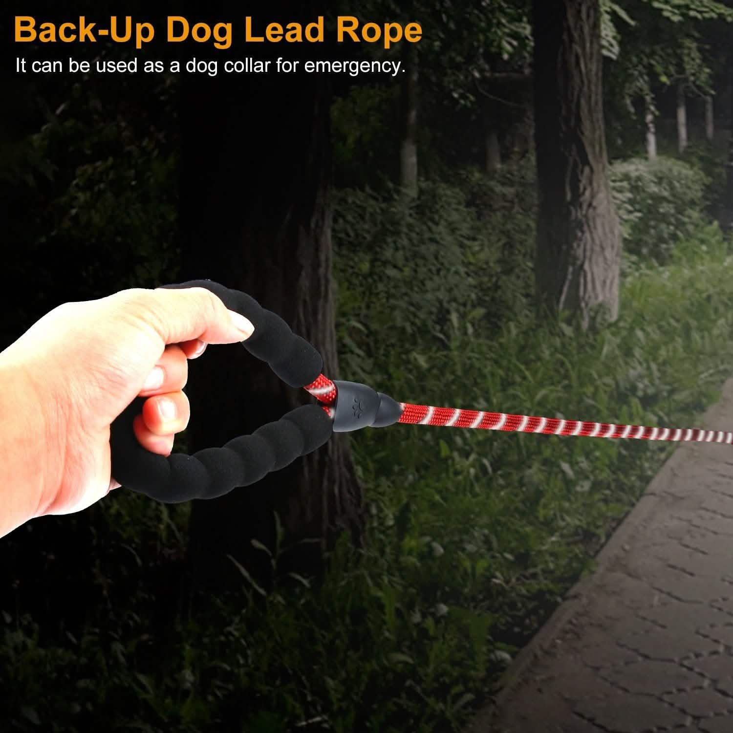 5 Ft. Dog Leash with Foam Handle Pet Supplies - Tophatter Daily Deals