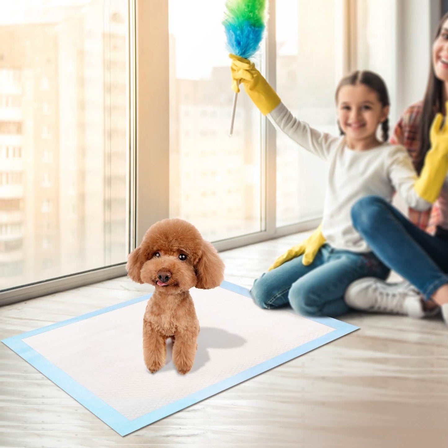 50-Piece: Dog Training Pads Pet Supplies - Tophatter Daily Deals