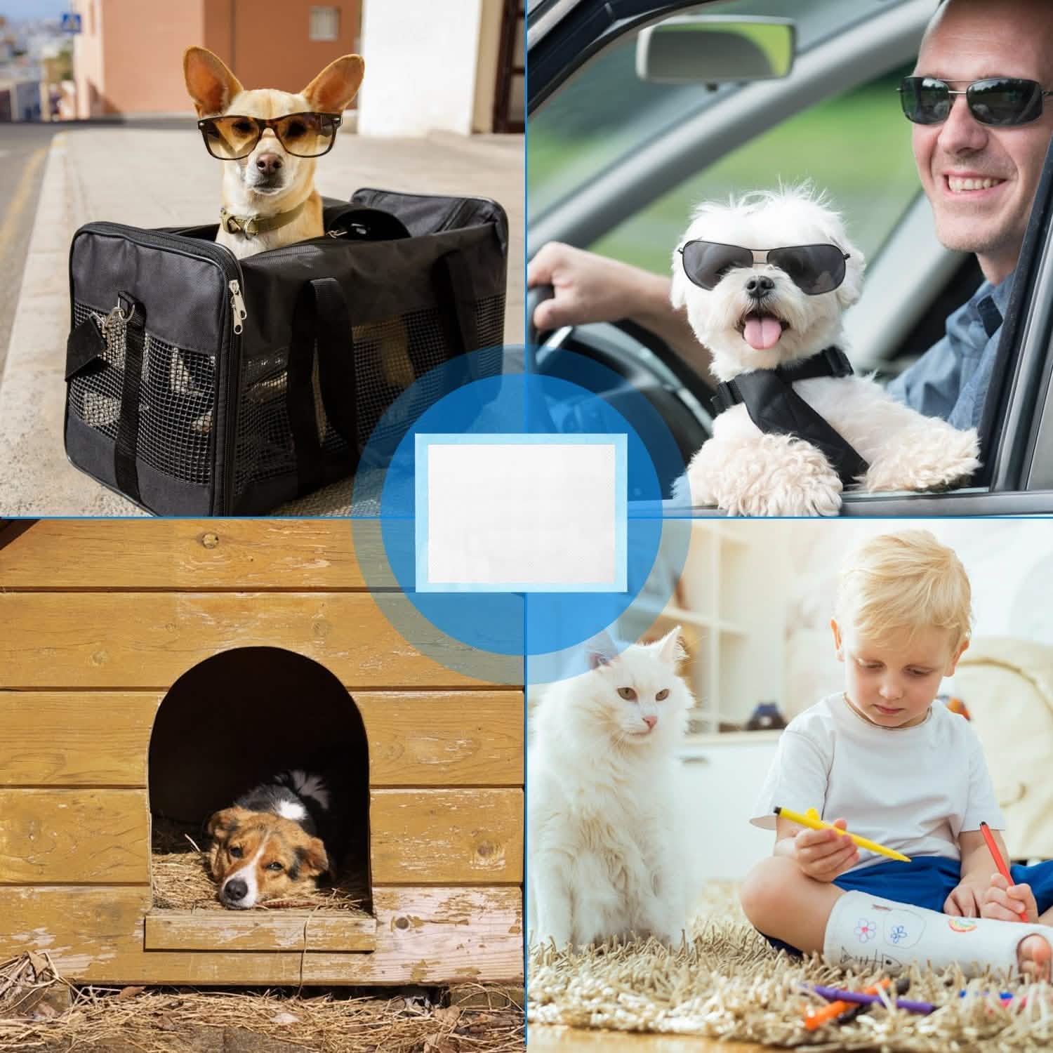 50-Piece: Dog Training Pads Pet Supplies - Tophatter Daily Deals