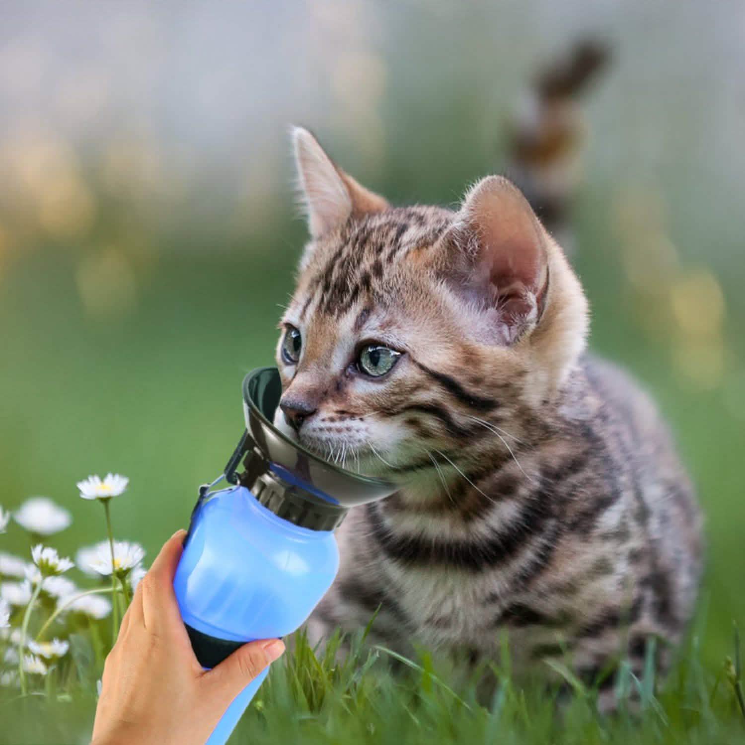 500ml Pet Water Bottle Portable Water Cup Pet Supplies - Tophatter Daily Deals