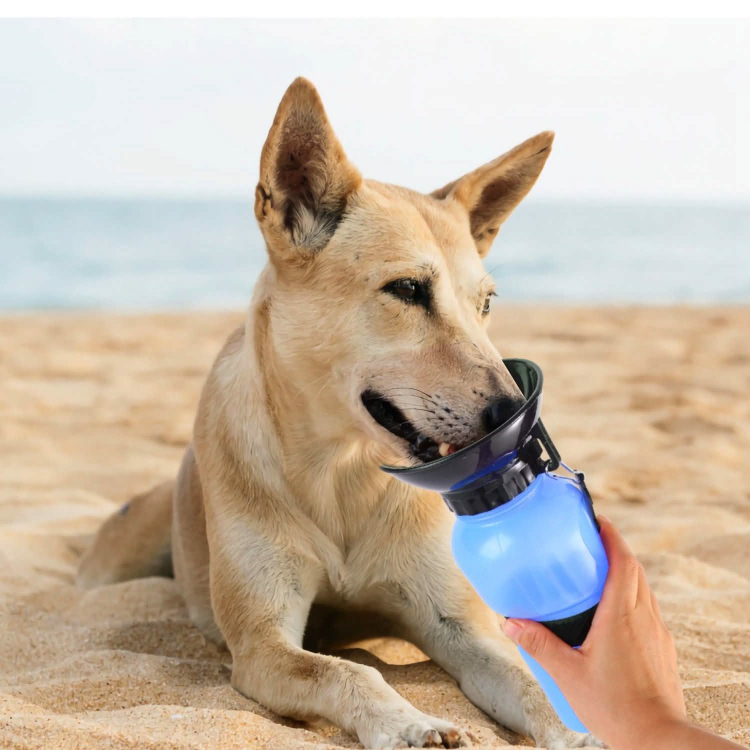 500ml Pet Water Bottle Portable Water Cup Pet Supplies - Tophatter Daily Deals