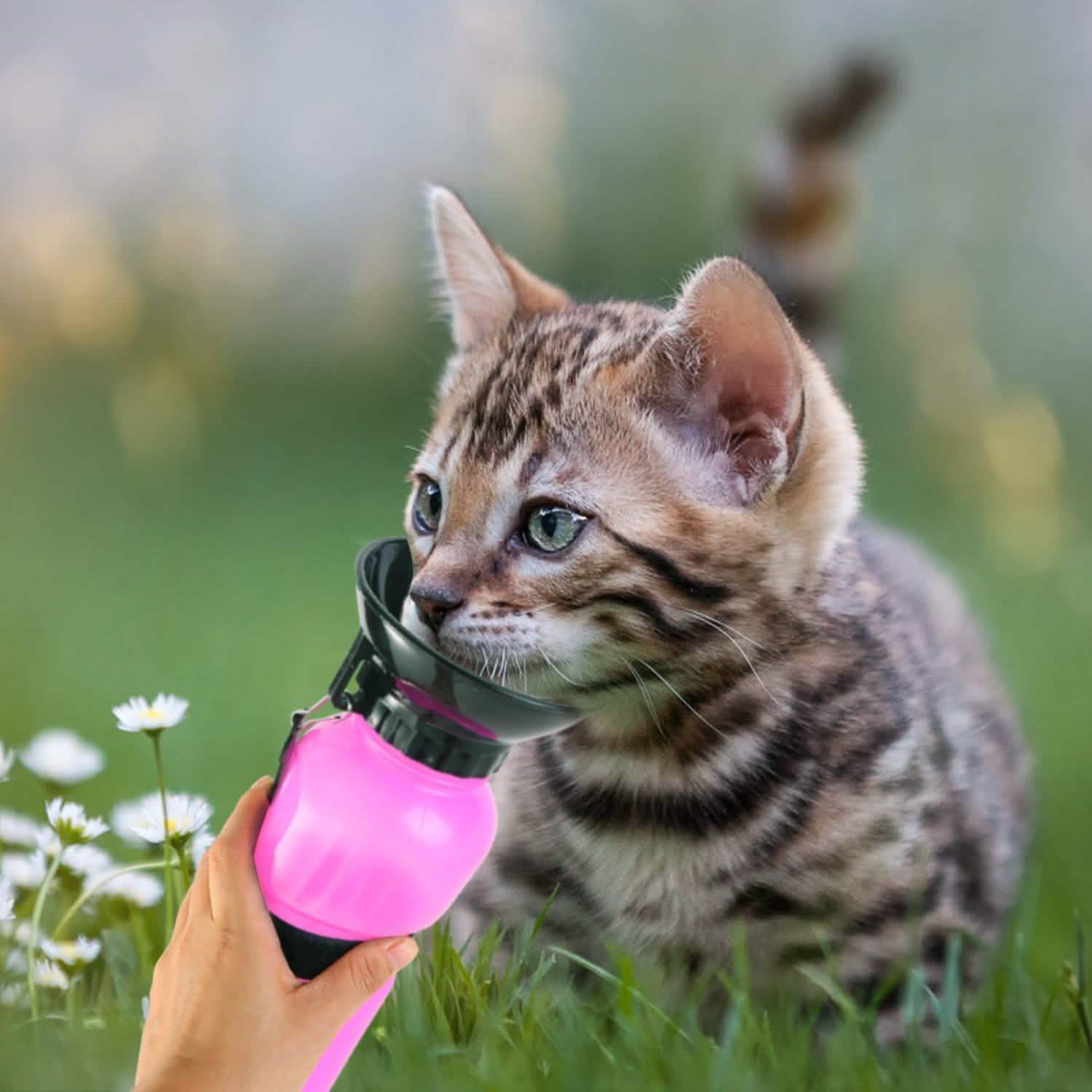 500ml Pet Water Bottle Portable Water Cup Pet Supplies - Tophatter Daily Deals