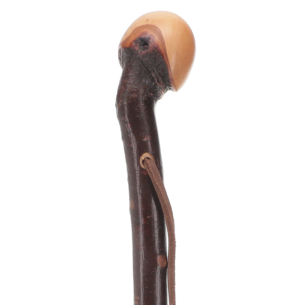 Limited Supply: Classic Blackthorn Knob Handle Cane with Shaft Irish Blackthorn Canes - Tophatter Daily Deals