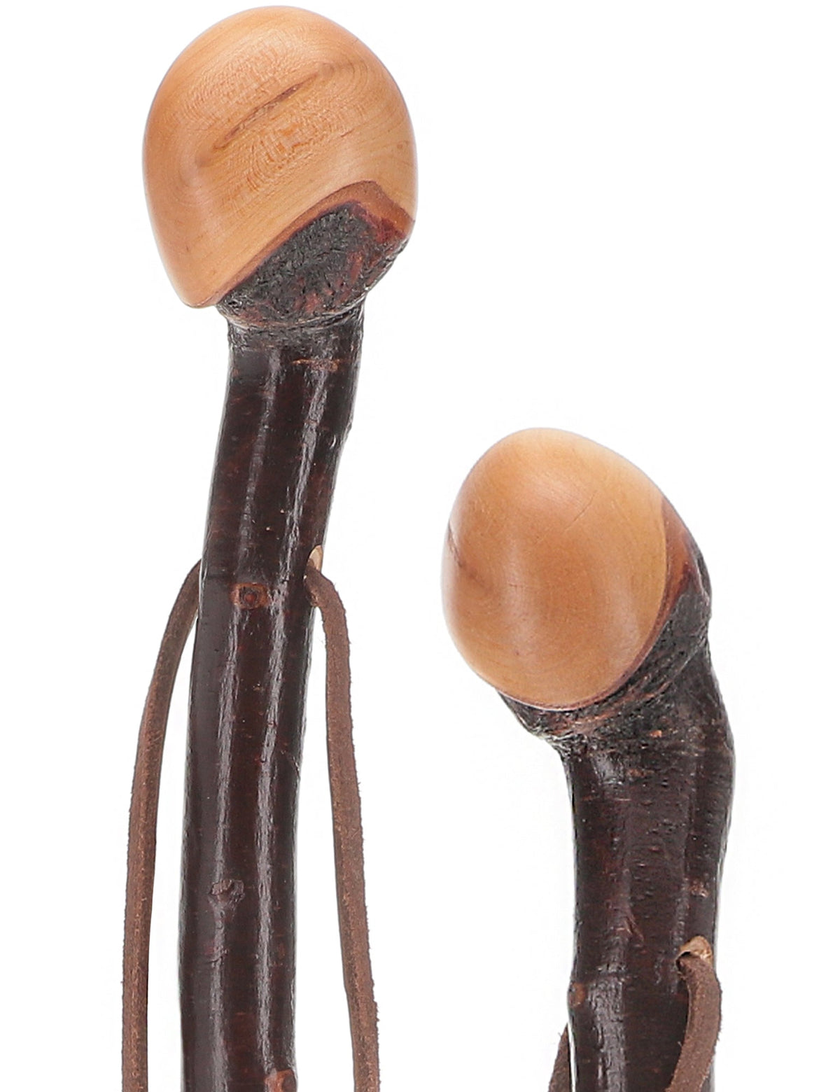 Limited Supply: Classic Blackthorn Knob Handle Cane with Shaft Irish Blackthorn Canes - Tophatter Daily Deals