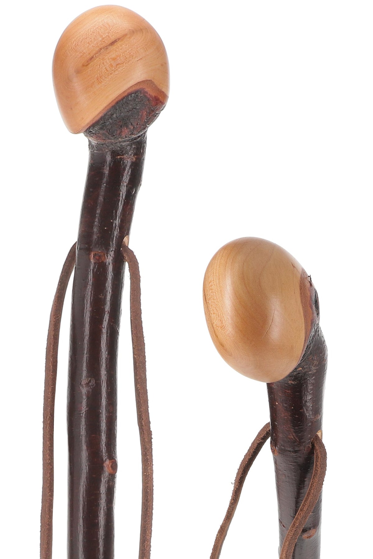 Limited Supply: Classic Blackthorn Knob Handle Cane with Shaft Irish Blackthorn Canes - Tophatter Daily Deals