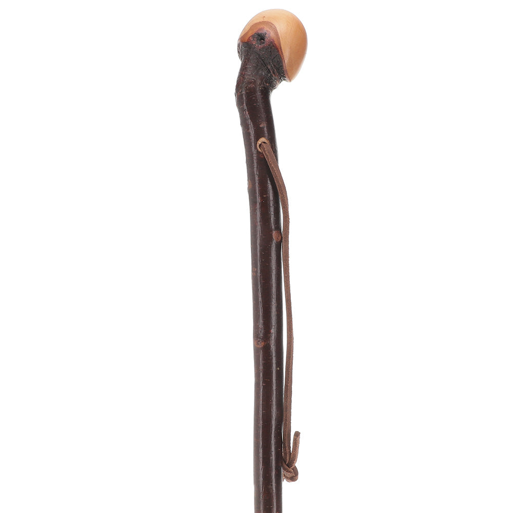 Limited Supply: Classic Blackthorn Knob Handle Cane with Shaft Irish Blackthorn Canes - Tophatter Daily Deals