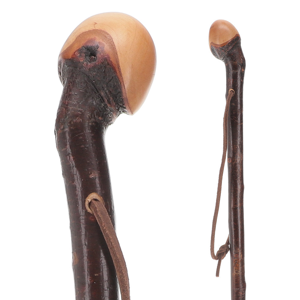 Limited Supply: Classic Blackthorn Knob Handle Cane with Shaft Irish Blackthorn Canes - Tophatter Daily Deals