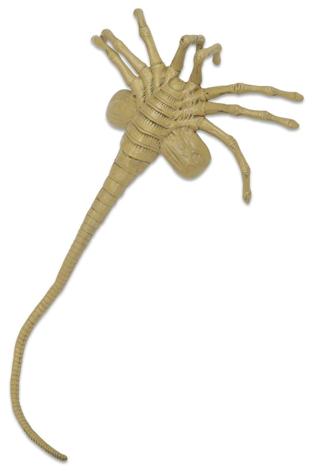 Aliens - Official Life Size Facehugger Prop Replica Prop Replica - Tophatter Daily Deals