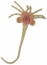 Aliens - Official Life Size Facehugger Prop Replica Prop Replica - Tophatter Daily Deals