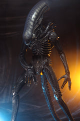 Alien – Official Ultimate 40th Anniversary Big Chap 1:4 Scale 18" Action Figure Action Figure - Tophatter Daily Deals