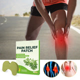 Argy Wormwood Pain Relief Health Care Sticker 0 - Tophatter Daily Deals