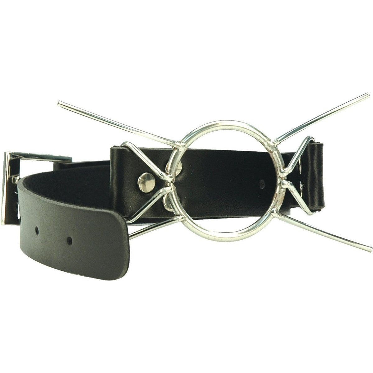 Fetish Fantasy Extreme Spider Gag Ball Gags & Mouth Restraints - Tophatter Daily Deals