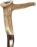 Exclusive Elk Horn Handle Cane with Bull Organ Shaft Bull Organ Penis Walking Cane - Tophatter Daily Deals
