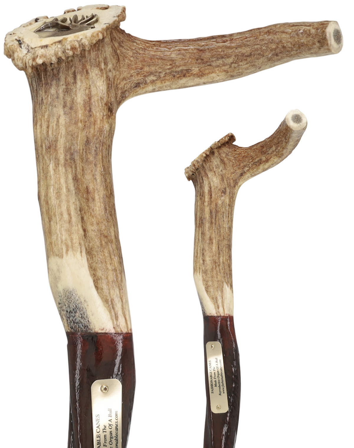 Exclusive Elk Horn Handle Cane with Bull Organ Shaft Bull Organ Penis Walking Cane - Tophatter Daily Deals