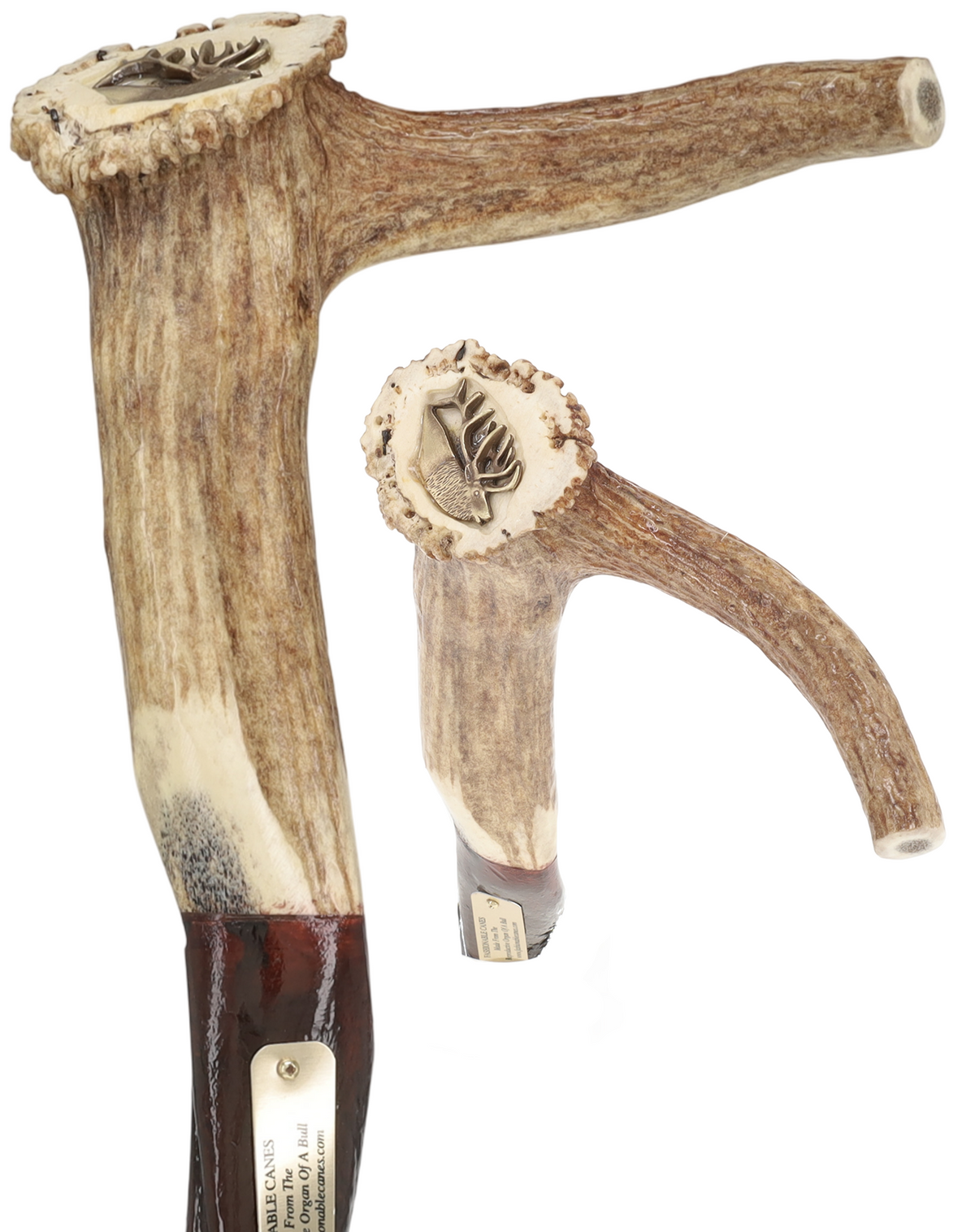 Exclusive Elk Horn Handle Cane with Bull Organ Shaft Bull Organ Penis Walking Cane - Tophatter Daily Deals