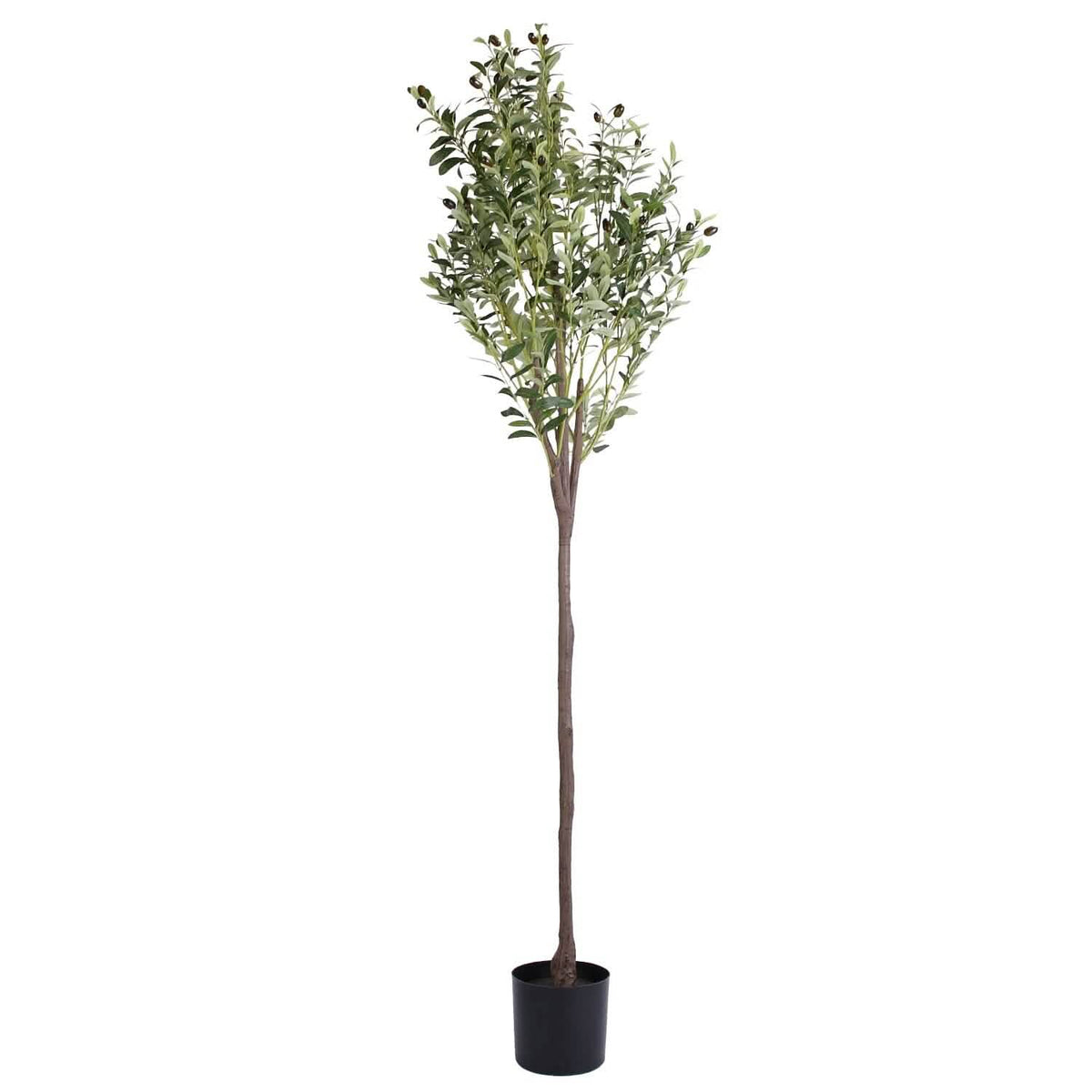 5.9ft Artificial Olive Tree with Lush Olive Branches and Fruits with Black Planter Pot Garden & Patio - Tophatter Daily Deals