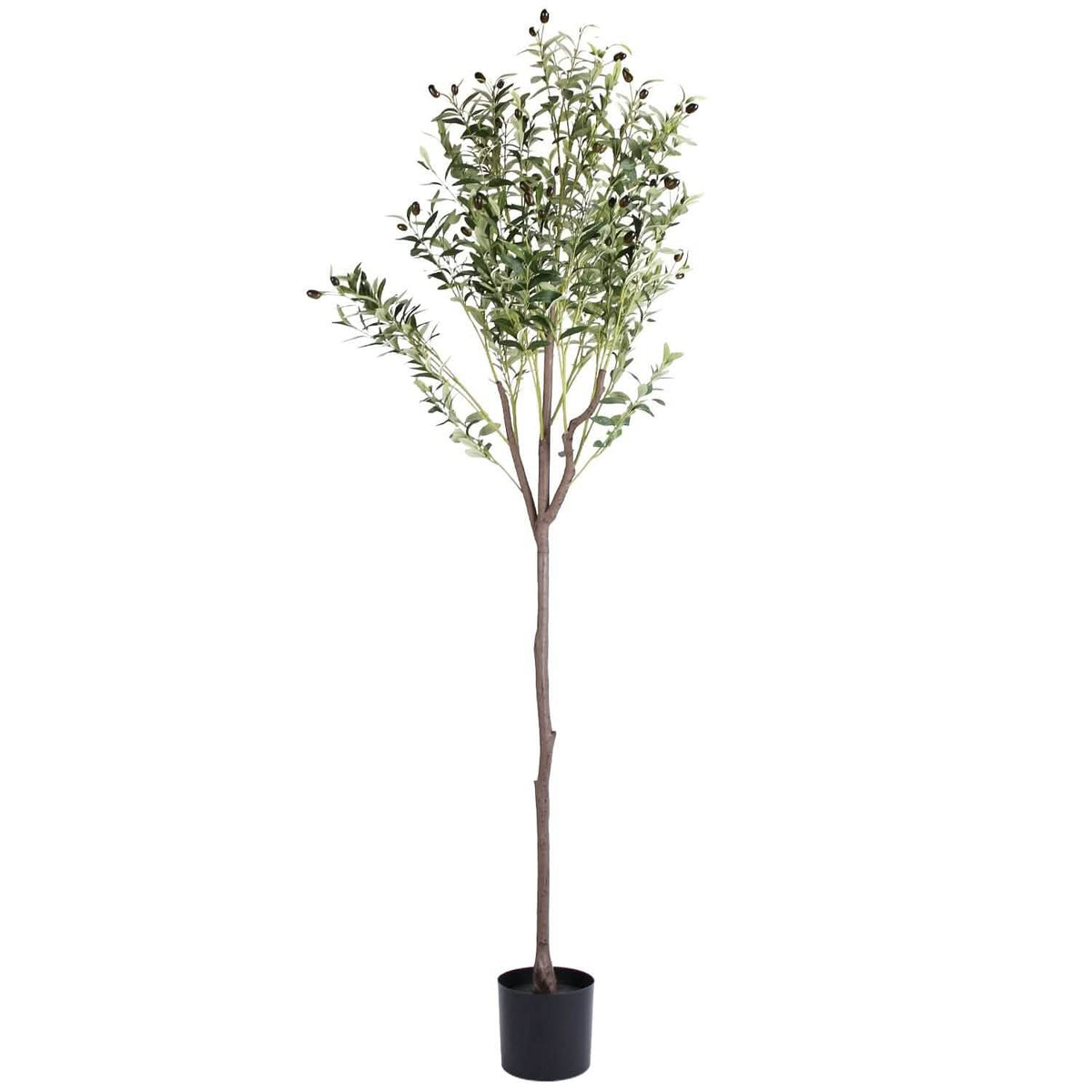 5.9ft Artificial Olive Tree with Lush Olive Branches and Fruits with Black Planter Pot Garden & Patio - Tophatter Daily Deals