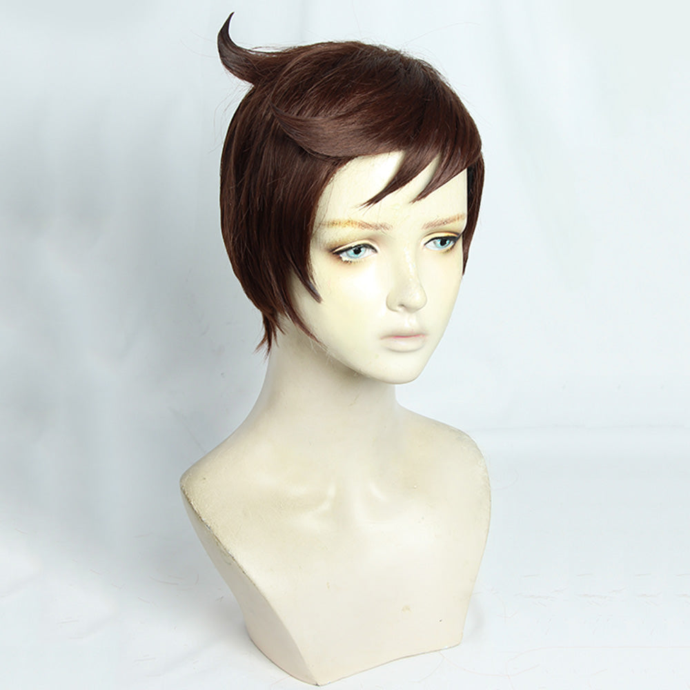 Pokemon Sword And Shield Male Trainer Brown Cosplay Wig Wig - Tophatter Daily Deals