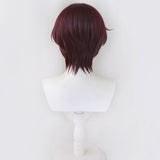 Wind Breaker Hayato Suou Purple Cosplay Wig Wig - Tophatter Daily Deals