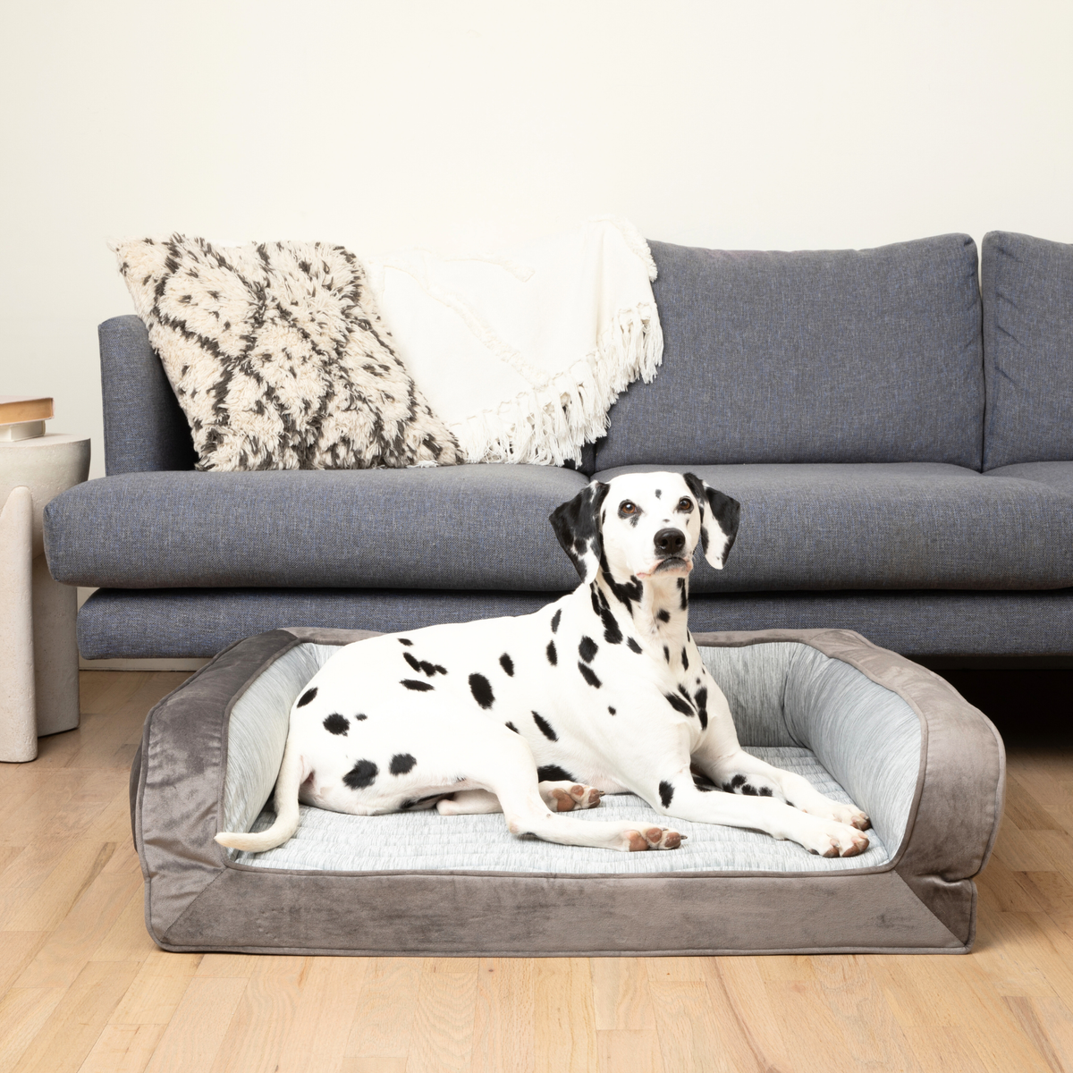 PupChill™ Cooling Bolster Dog Bed Large (35" L x 27" W) Pet Beds - Tophatter Daily Deals